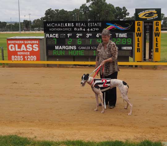 Gawler Greyhounds- Jamie's day out
