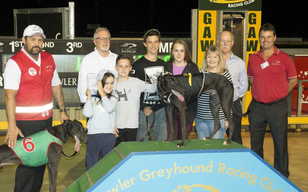 EASTER RACING AT GAWLER