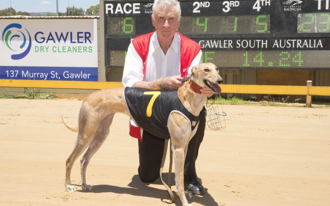 A Spring in her step at Gawler