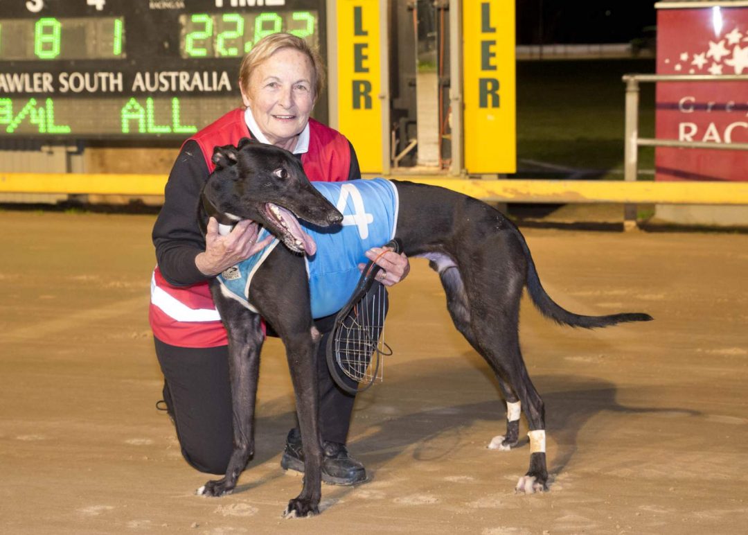 UNIQUE TREBLE | Gawler Greyhounds