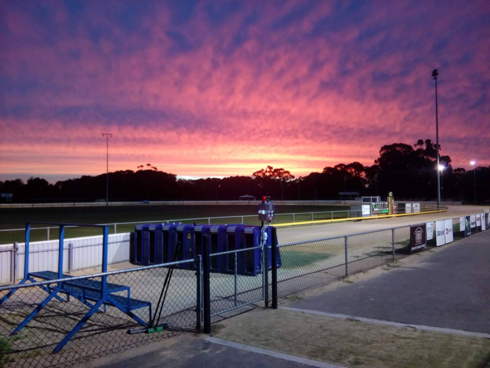 Gawler Greyhound Racing Club